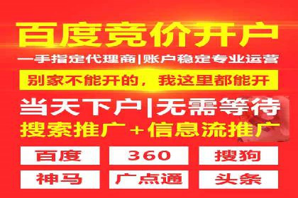SEM运营公司案例研究：优化广告投放策略