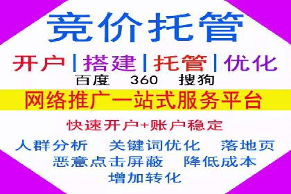 SEM竞价代运营：案例展示精准营销效果